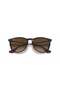 Rb 4171 865/13 54 Sunglasses