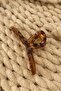Brown Leopard Patterned Latch Buckle - 3