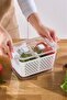 Citrus Vegetable / Fruit Storage Container L
