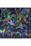 100 PCS/PACK Transparent Butterfly Laser Stickers Holographic Stickers PET Creative Retro Sticker... - 6