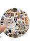 50PCS All 50PCS Funny Cute Cat Stickers Cartoon Decals Cup Stationery Guitar Phone Bicycle Laptop Lu - 3