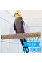 Trendme Bird Rasp Bird Feather Picker 2 Pieces - 3