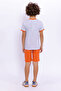 Boy's Crew Neck Pigment Printed Summer Regular Fit Gray Bermuda Set Rp2735-C-V2 - 5