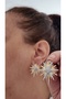 Polar Star Zircon Stone Women Earrings