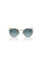 RAY BAN Man ROUND Sun- RB 3447 - lense size:53mm - GOLD - 5