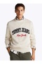 Tommy jeans tjm reg varsity crew sweater ext men's white sweater dm0dm21114acg - 3