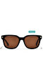 AUREUS By Eyewa - Men Sunglasses -  Square Sunglasses