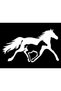 Horse and Cub Type 2 Sticker 30 X 18 cm - 3