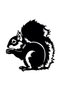 Squirrel Wall Decor Sticker A+ Quality 40 X 44 cm Durable