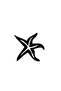 Starfish Sticker 10 X 9 cm