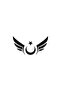 Turkish Flag Sticker with Wings 20 X 10 cm
