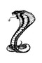 Angry Cobra Snake Wall Decor Sticker 40 X 60 cm