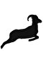 Jumping Aries Wall Decor Sticker 40 X 32 cm