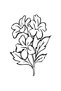 Flower Bouquet Sticker A+Quality 20 X 28 cm Durable