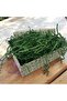 Dark Green Pine Green Zigzag Pelur - 100g Ornamental Filling Paper - 3