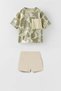 Palm Tree Pattern Set - 5