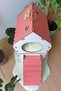 Cat Accessories - 3
