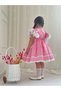 Pink Checkered Vintage Baby Girl Dress,Birthday,Photo Shooting Dress,Suitable for Ages 0-12 - 5