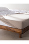 Valeria king size plus 100% cotton elastic jersey sheet - dark beige