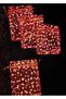 Red Tulle Pouch, 50 Pieces, (9 X 12 cm) Henna Snack Engagement Gift Pouch, with Gold Points - 5