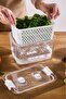 Citrus Vegetable / Fruit Storage Container L - 4