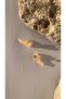 Orange Angel Shaped - 3cm Epoxy Earrings with Gold Accessories - Gift Handmade - 7