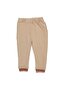 Boy's Burgundy Beige E Embroidered College Cardigan Set of 3 - 4