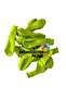 5-inch Lemon Green Small Size 10-Pack Decoration Balloons - 2