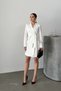 Women's Dress Mini Stylish Long Sleeve Belted Double Breasted Collar Pleated Jacket Dress