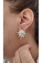 Polar Star Zircon Stone Women Earrings - 3