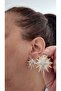 Polar Star Zircon Stone Women Earrings - 4