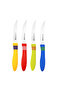 RF5877 Stainless Steel Fruit Knife Set (12 pcs) - 4