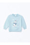 Blue Crew Neck Long Sleeve Printed Baby Boy Sweatshirt 2-Pack - 2