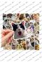 Crazy Cats MacBook Notebook Phone Tablet Agenda Laptop Notebook Sticker Set