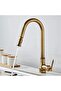 Kitchen Sink Faucet Antique Color Spiral Sprayer Imported with 7 Years Warranty - 4