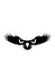 Eagle's Eyes Wall Decor Sticker 40 X 16 cm