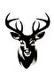Deer 2 Arslan Wall Decor Sticker 45 X 45 cm