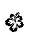 Hibiscus Flower Quality Sticker 20 X 20 cm