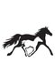 Horse and Foal Type 2 Sticker A+Quality 20 X 12 cm Durable