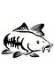 Stream Fish Wall Decor Sticker 45 X 39 cm