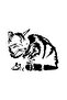 Sleeping Cat Wall Decor Quality Quality Sticker 40 X 32 cm