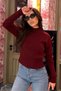 Burgundy Half Turtleneck Braided Knitwear Women's Sweater Mg2257 - 3