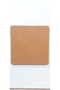 خيوط الفطر 20 سم × 20 سم سمك 0.5 سم 1 قطعة - 2