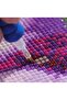Diamond Painting Beaded Tapestry Mosaic Puzzle Crystal Stone Board 40X30 Kit Full Set - 7