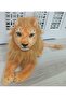 High Quality Plush Lion Toy - Super Real Leon 60cm - 4