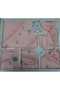 Salmon Girl Butterfly Baby Set 10 Piece Hospital Release - 2