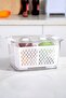 Citrus Vegetable / Fruit Storage Container L - 7