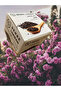 Black Cumin Oil Cream 70Gr (3 Pieces) - 7