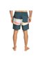 Eqyjv04011 Air-Brush 17Nb m Jamv Men's Shorts Swimwear - 6