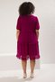 Plum Tulle Detail Woven Dress TBBSS23AH00056 - 5
